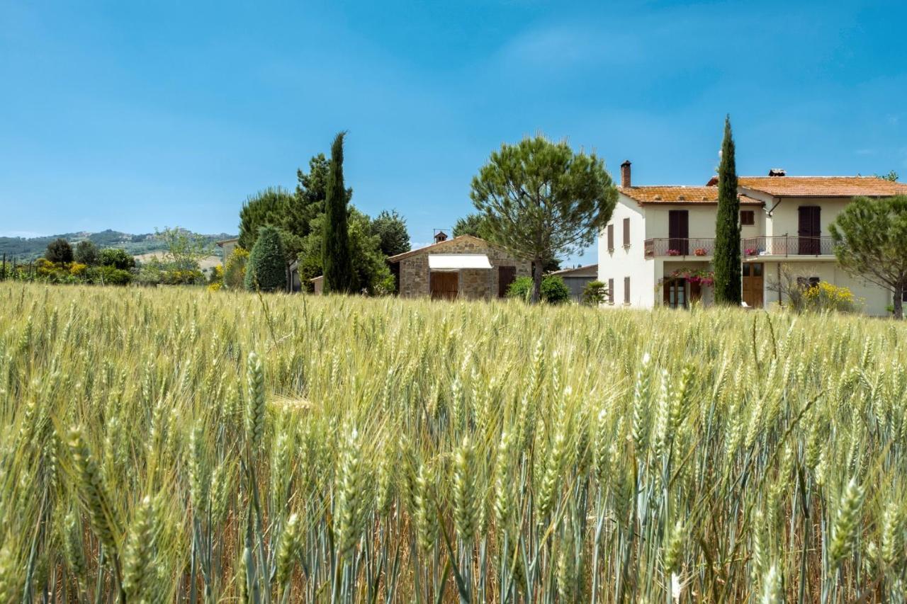 Agriturismo San Marcello Castiglione dʼOrcia Εξωτερικό φωτογραφία