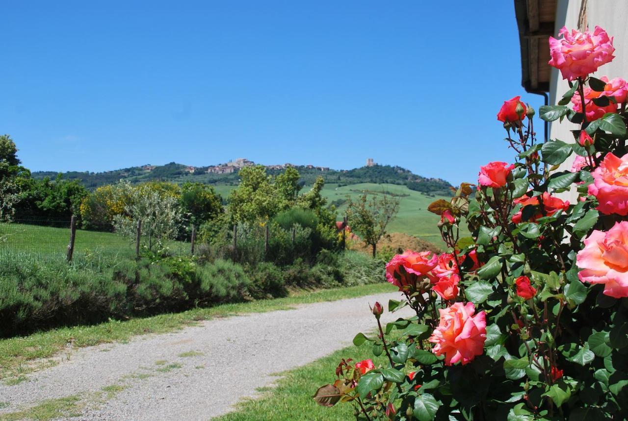 Agriturismo San Marcello Castiglione dʼOrcia Εξωτερικό φωτογραφία